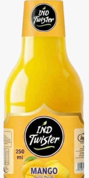 Home mango fruit drink 250ml